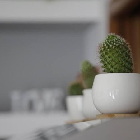 Iseo Lake Family&Friends Smart Home Eksteriør bilde